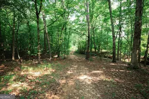 252 Rum Creek Pass, Juliette, GA 31046 - Photo 36