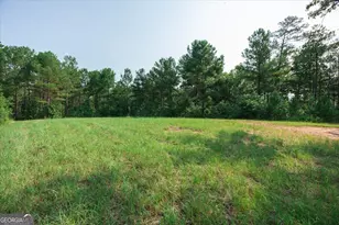 252 Rum Creek Pass, Juliette, GA 31046 - Photo 48