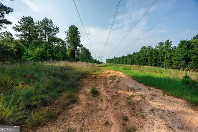 252 Rum Creek Pass, Juliette, GA 31046 - Photo 42