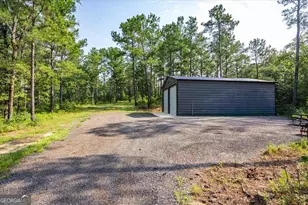 252 Rum Creek Pass, Juliette, GA 31046 - Photo 10