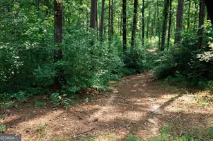 252 Rum Creek Pass, Juliette, GA 31046 - Photo 50