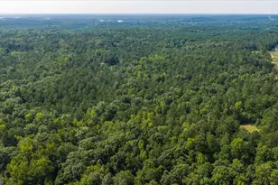 252 Rum Creek Pass, Juliette, GA 31046 - Photo 64