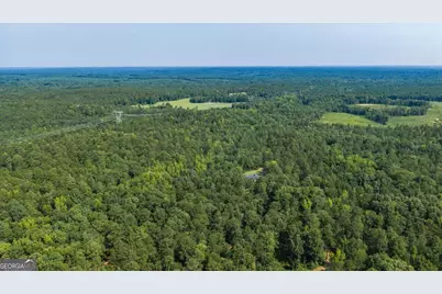 252 Rum Creek Pass, Juliette, GA 31046 - Photo 58