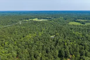 252 Rum Creek Pass, Juliette, GA 31046 - Photo 58