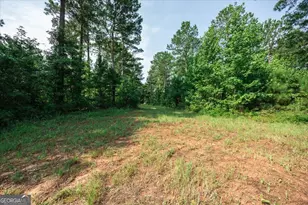 252 Rum Creek Pass, Juliette, GA 31046 - Photo 44