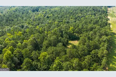252 Rum Creek Pass, Juliette, GA 31046 - Photo 66