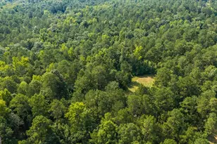 252 Rum Creek Pass, Juliette, GA 31046 - Photo 66