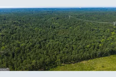 252 Rum Creek Pass, Juliette, GA 31046 - Photo 62
