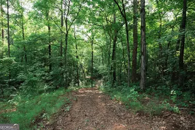 252 Rum Creek Pass, Juliette, GA 31046 - Photo 44