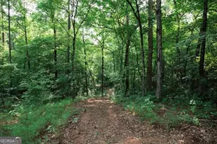 252 Rum Creek Pass, Juliette, GA 31046 - Photo 44