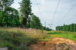 252 Rum Creek Pass, Juliette, GA 31046 - Photo 46