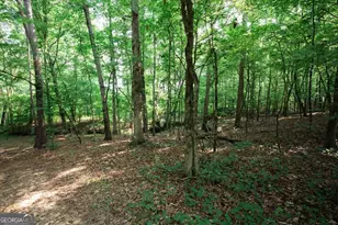 252 Rum Creek Pass, Juliette, GA 31046 - Photo 40