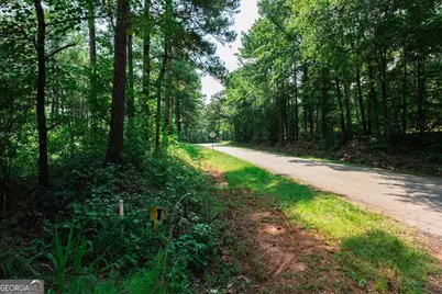 252 Rum Creek Pass, Juliette, GA 31046 - Photo 52