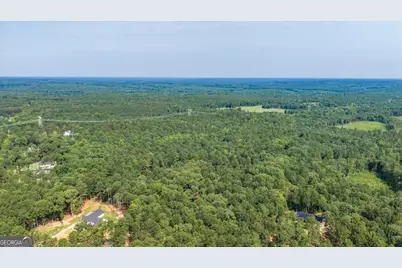 252 Rum Creek Pass, Juliette, GA 31046 - Photo 60