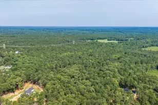 252 Rum Creek Pass, Juliette, GA 31046 - Photo 60