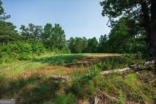 252 Rum Creek Pass, Juliette, GA 31046 - Photo 54
