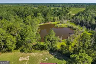 2009 Odom Rd, Wrightsville, GA 31096 - Photo 34