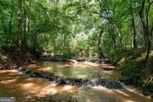 568 Brandenburg Rd, Franklin, GA 30217 - Photo 22