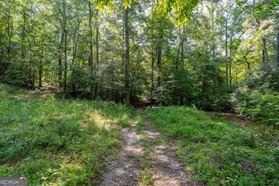 568 Brandenburg Road, Franklin, GA 30217 - Photo 20