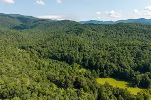 61 Wilderness Trail, Ellijay, GA 30540 - Photo 20