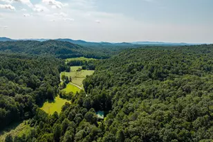 61 Wilderness Trail, Ellijay, GA 30540 - Photo 22