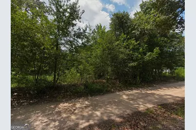 0 Second Avenue, Waynesville, GA 31566 - Photo 2