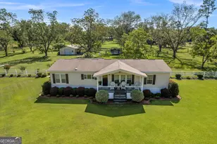 6084 Youmans Chapel Rd, Blackshear, GA 31516 - Photo 2