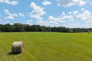 500 Marks Rd, Mansfield, GA 30055 - Photo 6