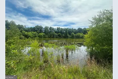 1808 Wire Road, Norway, SC 29113 - Photo 34