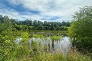 1808 Wire Rd, Norway, SC 29113 - Photo 34