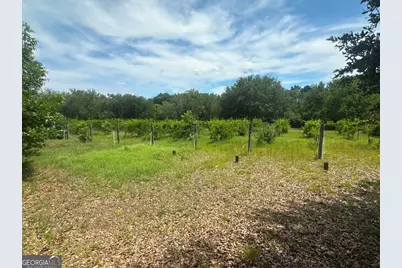 1808 Wire Road, Norway, SC 29113 - Photo 28