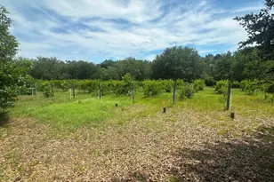 1808 Wire Rd, Norway, SC 29113 - Photo 28