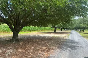 1808 Wire Rd, Norway, SC 29113 - Photo 2