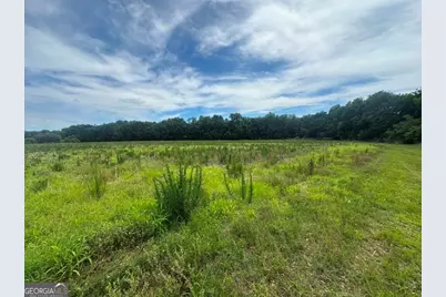 1808 Wire Road, Norway, SC 29113 - Photo 36