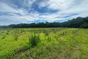 1808 Wire Rd, Norway, SC 29113 - Photo 36