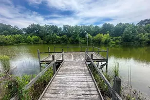 1808 Wire Rd, Norway, SC 29113 - Photo 32