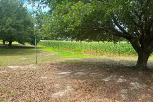 1808 Wire Rd, Norway, SC 29113 - Photo 40