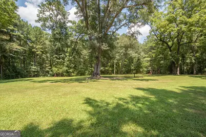 247 Ball Street, Moreland, GA 30259 - Photo 38