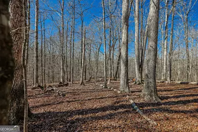 T1-2 Old Zebulon Road, Forsyth, GA 31029 - Photo 6