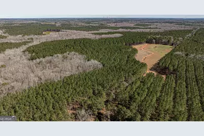 T1-2 Old Zebulon Road, Forsyth, GA 31029 - Photo 34