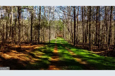 T1-2 Old Zebulon Road, Forsyth, GA 31029 - Photo 46