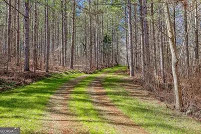 T1-2 Old Zebulon Road, Forsyth, GA 31029 - Photo 36