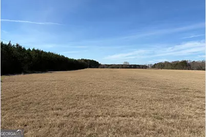 T1 Old Zebulon Road, Forsyth, GA 31029 - Photo 38