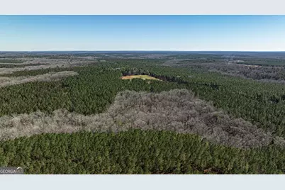 T1 Old Zebulon Road, Forsyth, GA 31029 - Photo 8