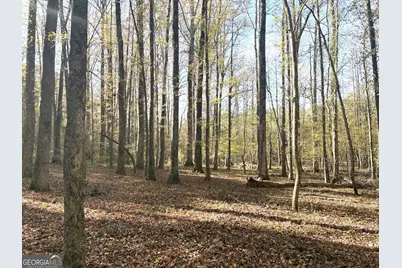 T1 Old Zebulon Road, Forsyth, GA 31029 - Photo 30