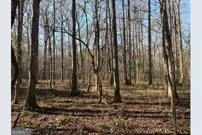 T1 Old Zebulon Road, Forsyth, GA 31029 - Photo 66