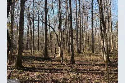 T1 Old Zebulon Road, Forsyth, GA 31029 - Photo 24