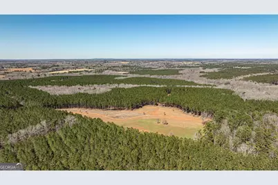 T1 Old Zebulon Road, Forsyth, GA 31029 - Photo 2