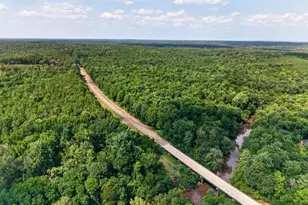 0 Hwy 42, Forsyth, GA 31029 - Photo 1