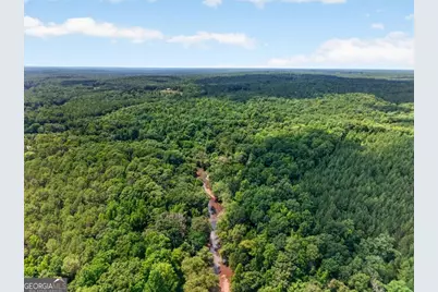 0 Highway 42, Forsyth, GA 31029 - Photo 8